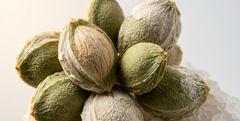 Apricot Seed Powder | Prunus Armeniaca Seed Powder