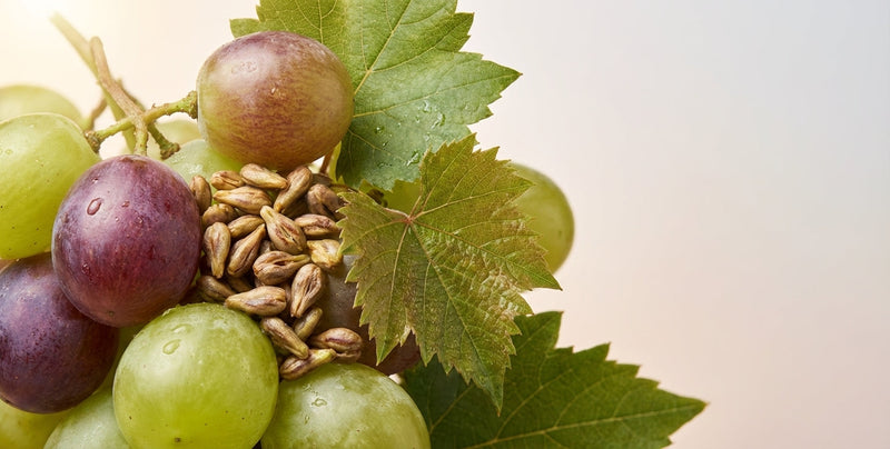 Grape Seed Oil