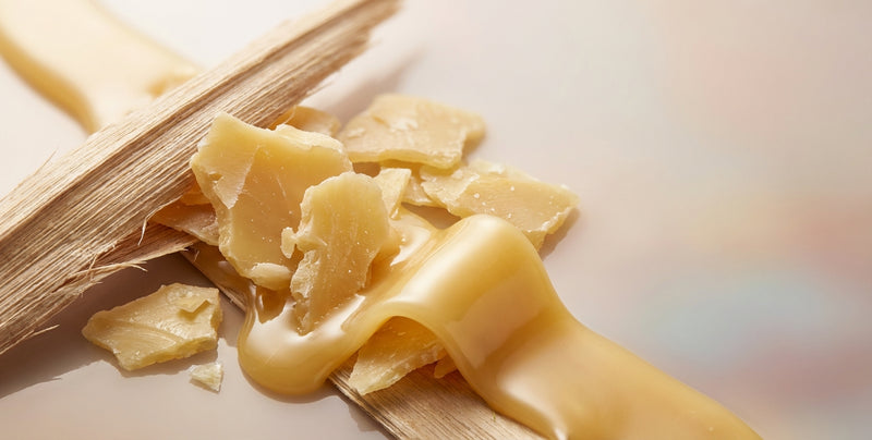 Carnauba Wax