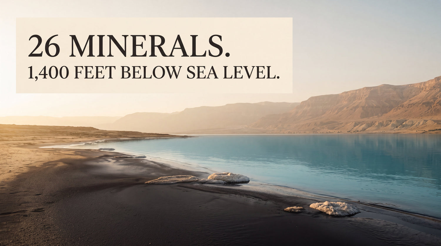 Discover the Dead Sea