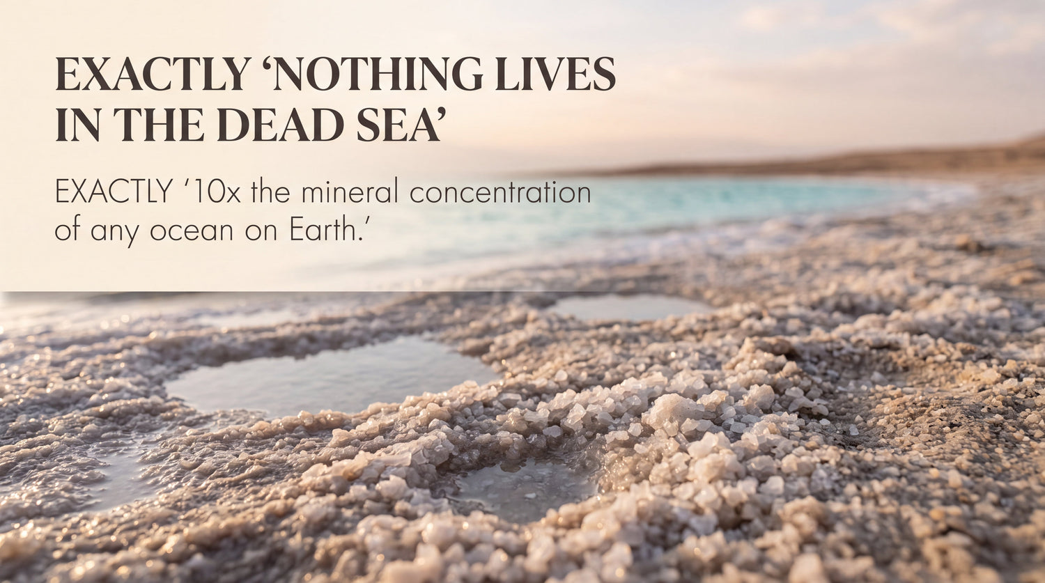 Magnesium Sulfate vs. Magnesium Chloride: Comprehensive Analysis and the Superiority of Dead Sea Salt in Bath Salts