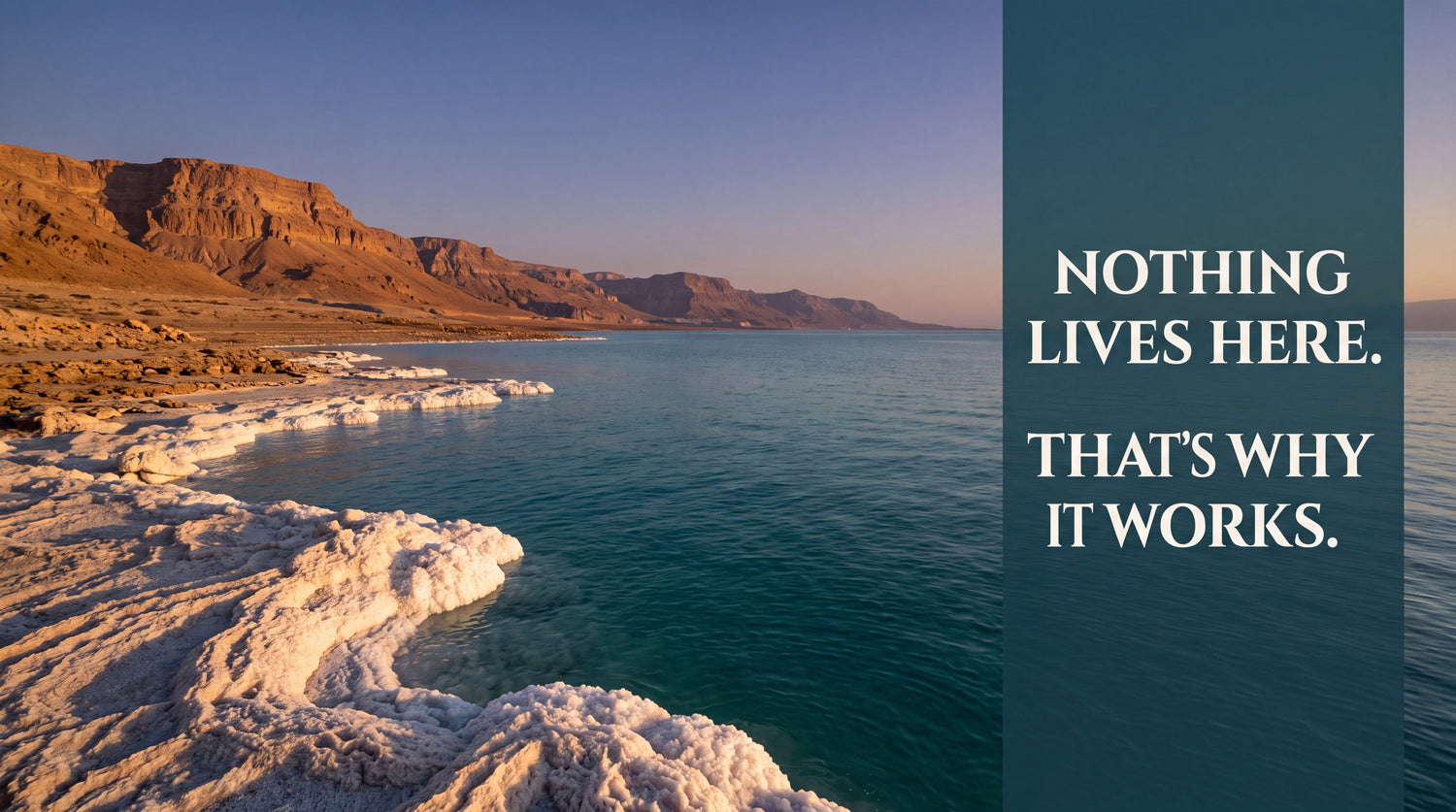 Touring The Dead Sea