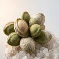 Apricot Seed Powder | Prunus Armeniaca Seed Powder