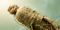 Panax Ginseng Root Extract 