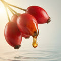 Rosehip Fruit Oil 