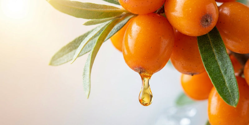 Sea Buckthorn Oil 