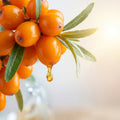 Sea Buckthorn Oil 