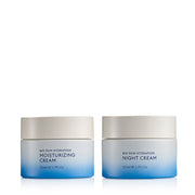 Day & Night Moisturizing Set