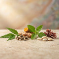 Botanical Soothing Complex (Men's) | Melia Azadirachta (Neem) + Curcuma Longa (Turmeric) + Ocimum Sanctum (Holy Basil) + Moringa Oleifera + Lupinus Albus