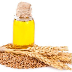Wheat Oil Triticum Vulgare