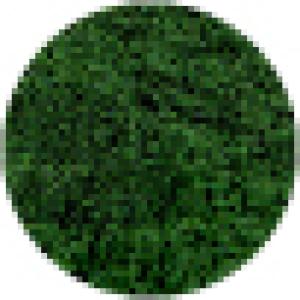 Spirulina Extract