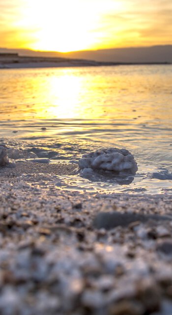 Environmental Pollution